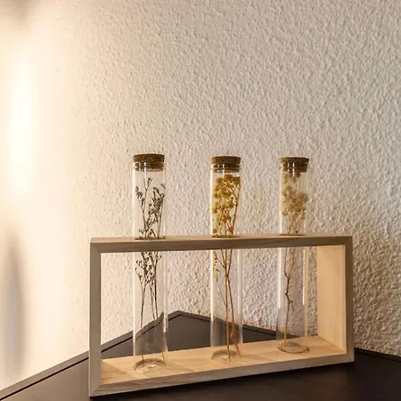 Apartamento Aerosky Proche Aéroport Blagnac